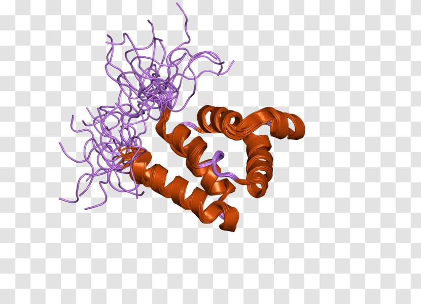 Internal Link MNDA Gene Protein - Cell - Myeloid Tissue Transparent PNG