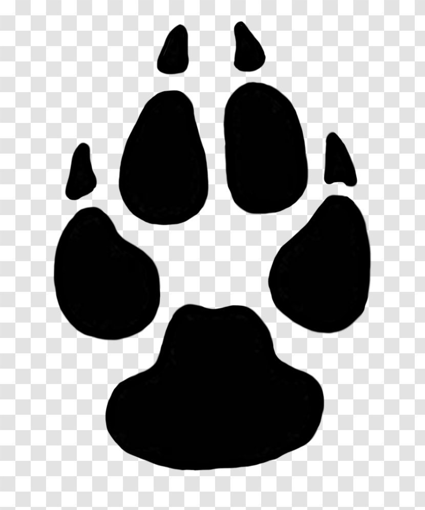 Cougar Dog Lion Animal Track Paw - Snout Transparent PNG