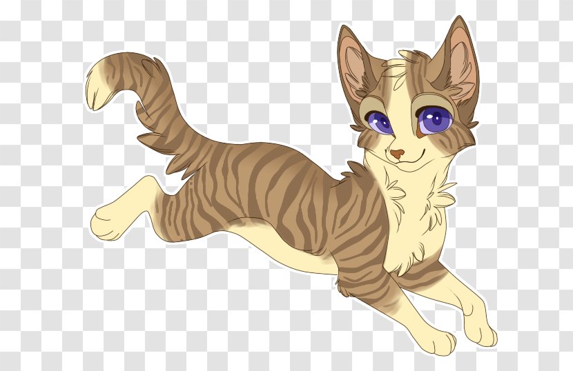 Wildcat Kitten Whiskers Tabby Cat - Like Mammal - Shadow Warrior Transparent PNG