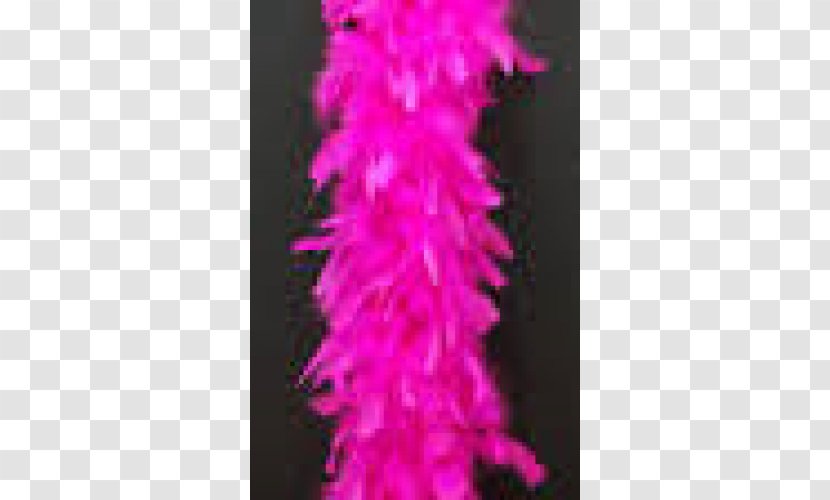 Feather Boa Bank Of America Cerise Chandelle - Lei - Shawl Transparent PNG