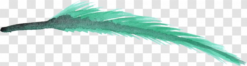 Watercolor Painting Clip Art Image - Feather Transparent PNG