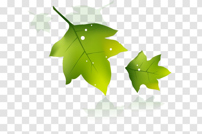 Banner Poster Leaf Download - Green Leaves Transparent PNG