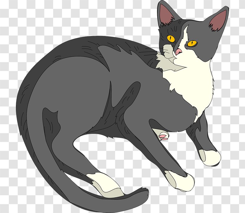 Cat Kitten Clip Art - Dog Like Mammal Transparent PNG