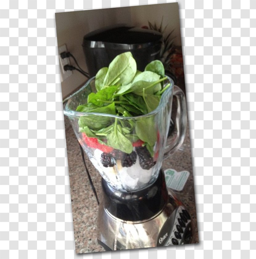 Mint Julep Herb Flowerpot - Leaf Vegetable - Lowcarbohydrate Diet Transparent PNG