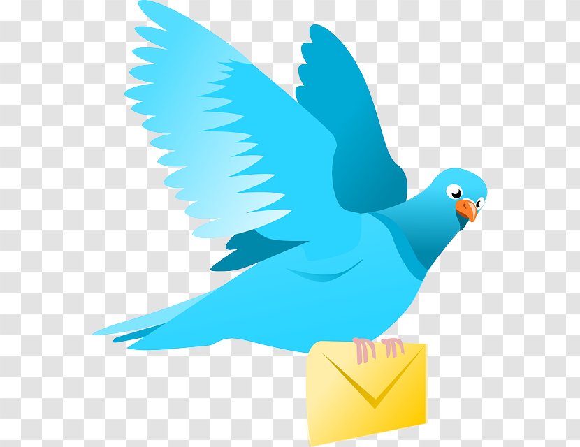 Homing Pigeon Columbidae Bird Post Clip Art - Letter Transparent PNG