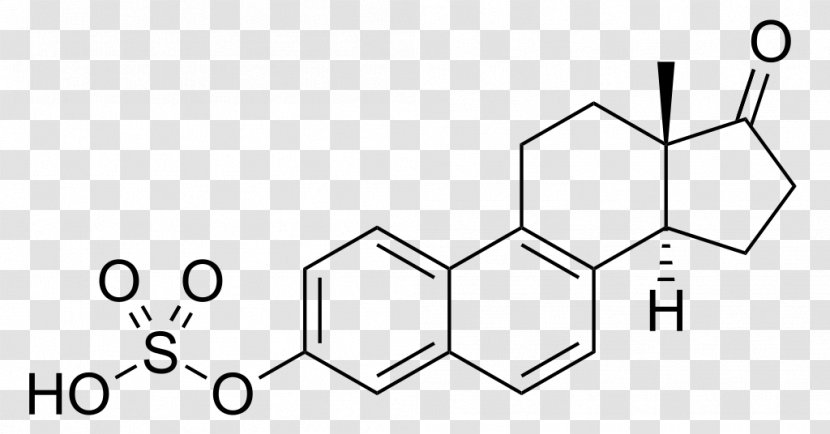 1-Methylnaphthalene Methyl Group Chemistry Acid - White - Lenin Transparent PNG