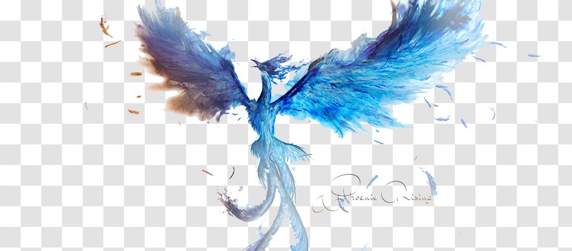 Phoenix Ash Ketchum - Drawing - Blue Free Download Transparent PNG