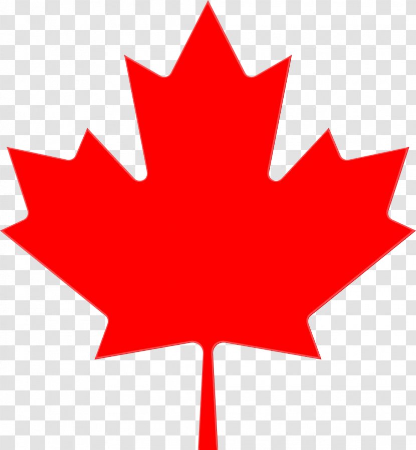 Canada Maple Leaf - Symbol Plant Transparent PNG