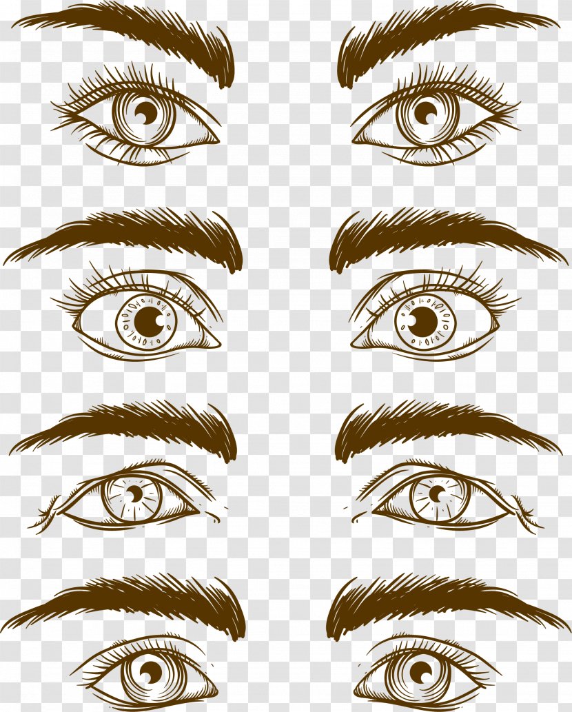 Eyebrow Euclidean Vector Drawing - Frame - Close-up Of People Eye Transparent PNG