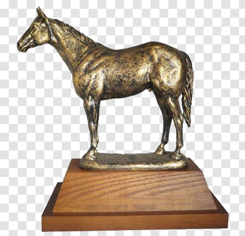 Horse Trophy Stallion Award Mare Transparent PNG