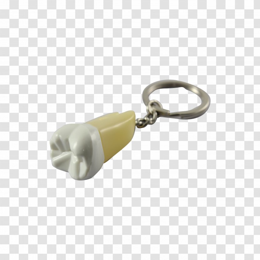 Key Chains China MyDentalStock - Dentistry Transparent PNG