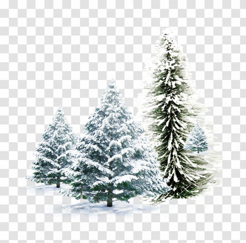 Christmas Card Igloo Snowman Wallpaper - Snow Pine Combination Transparent PNG