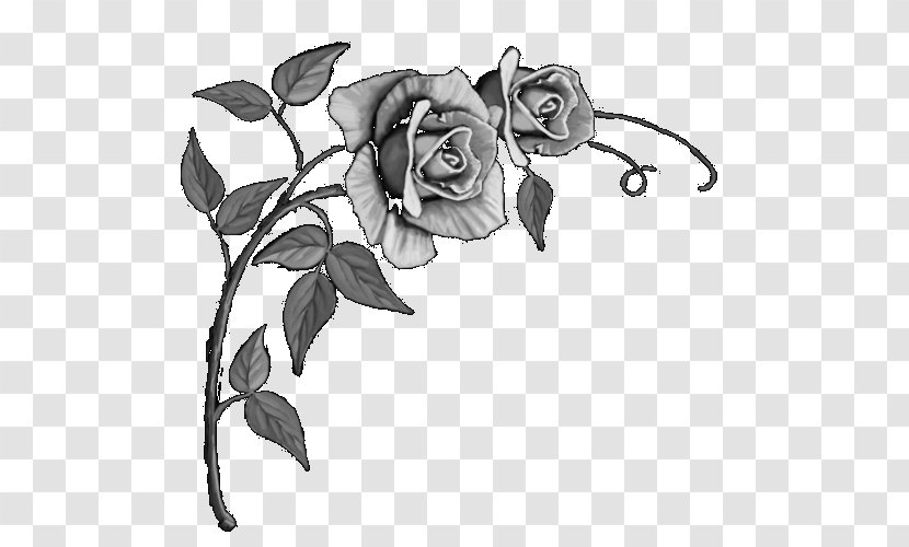 Garden Roses Headstone Floral Design Sketch - Name - Rose Left Transparent PNG