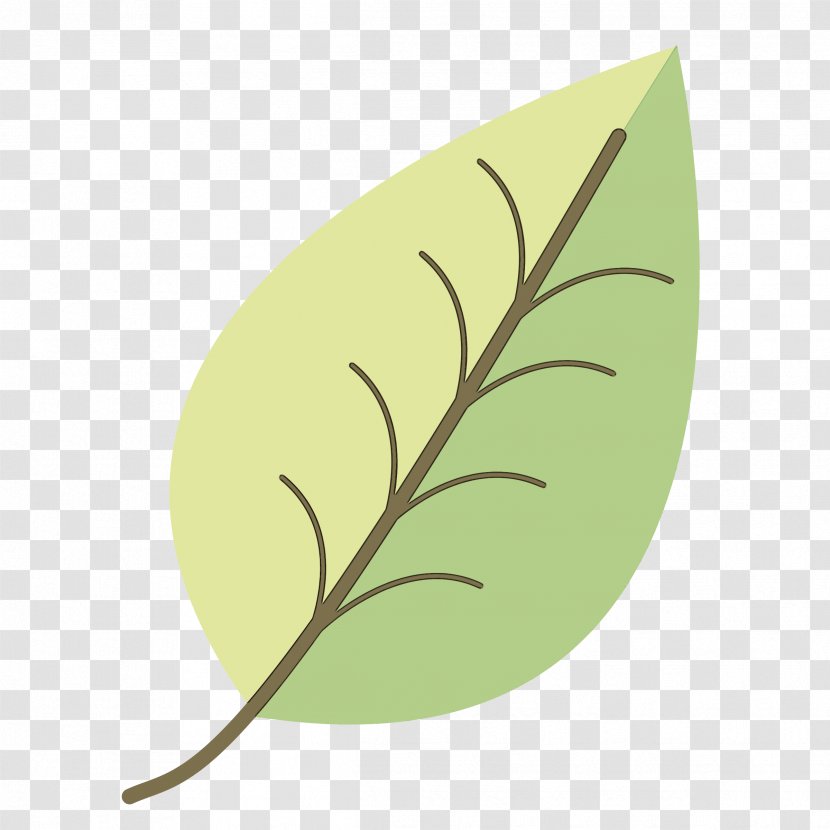 Feather - Anthurium - Logo Transparent PNG