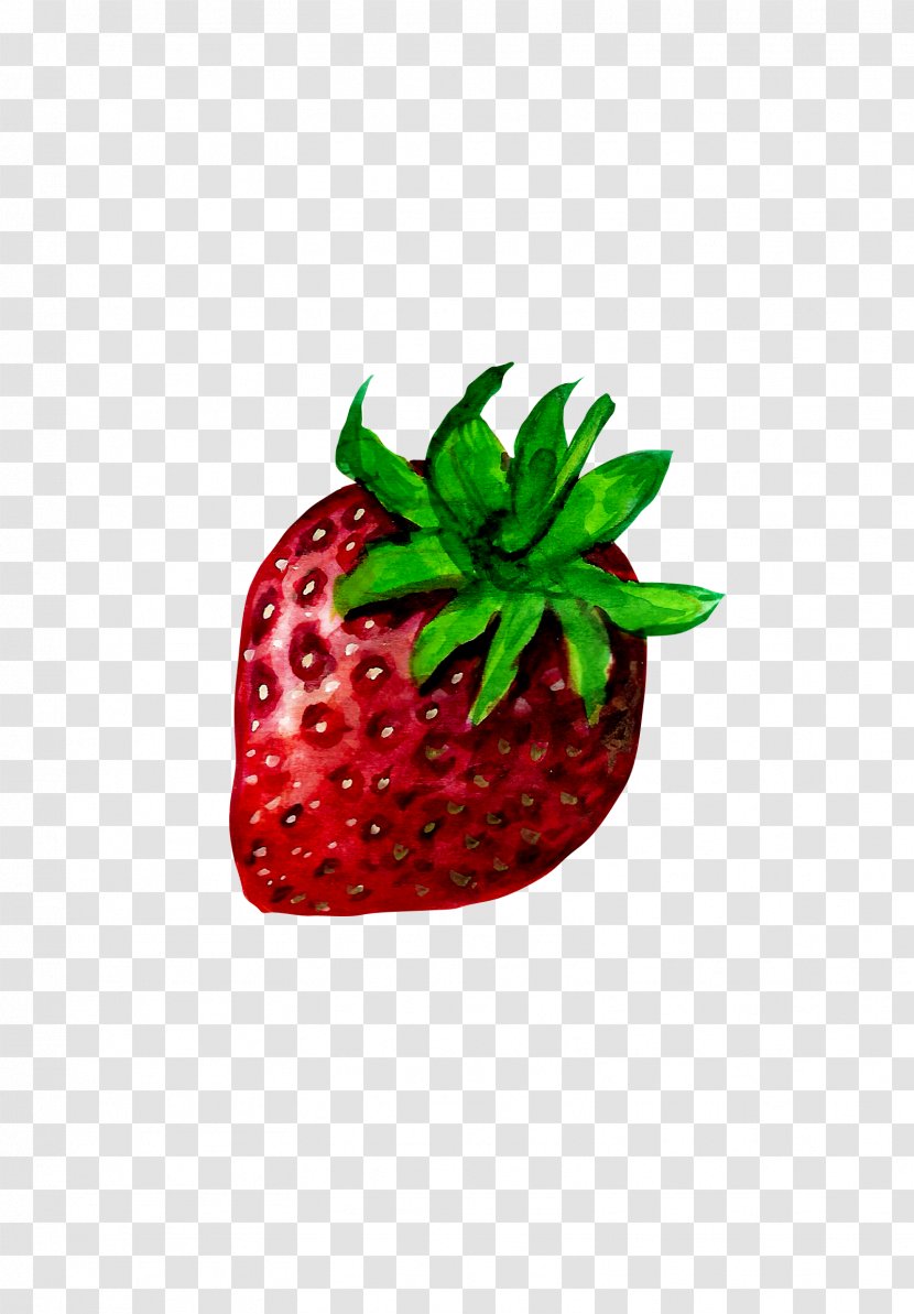 Strawberry Aedmaasikas Illustration - Plant - Hand-painted Transparent PNG