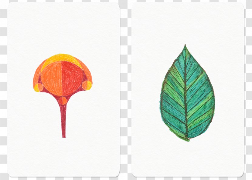 Leaf Product Design - Tulip - Baltimore Pattern Transparent PNG