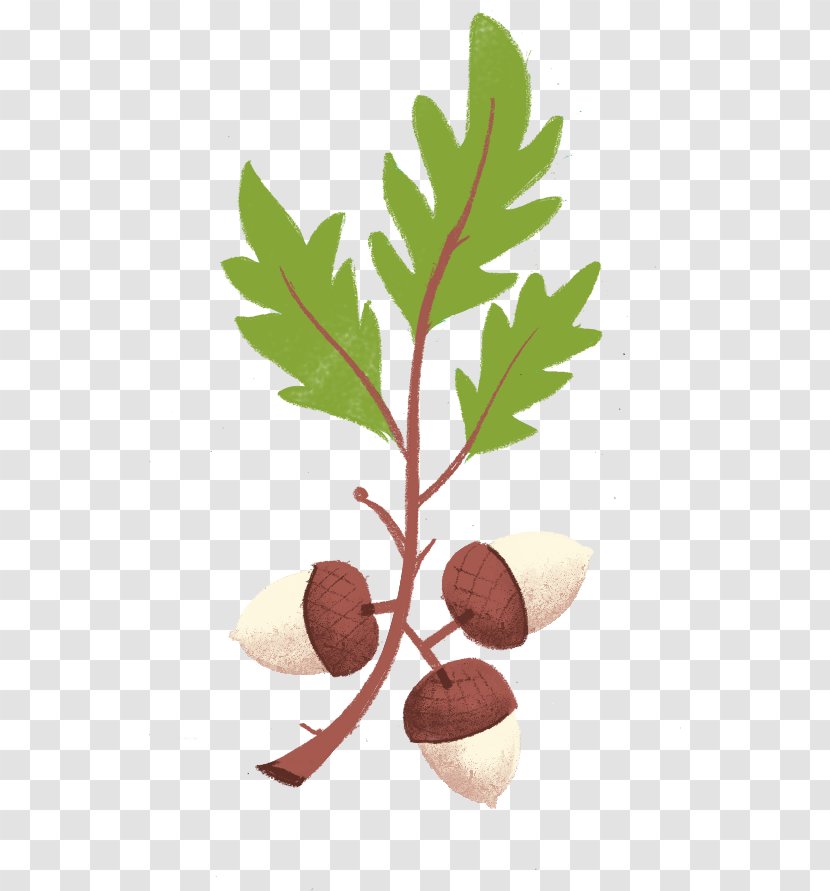 Tree Nut Allergy VY2 Flowerpot - Leaf Transparent PNG