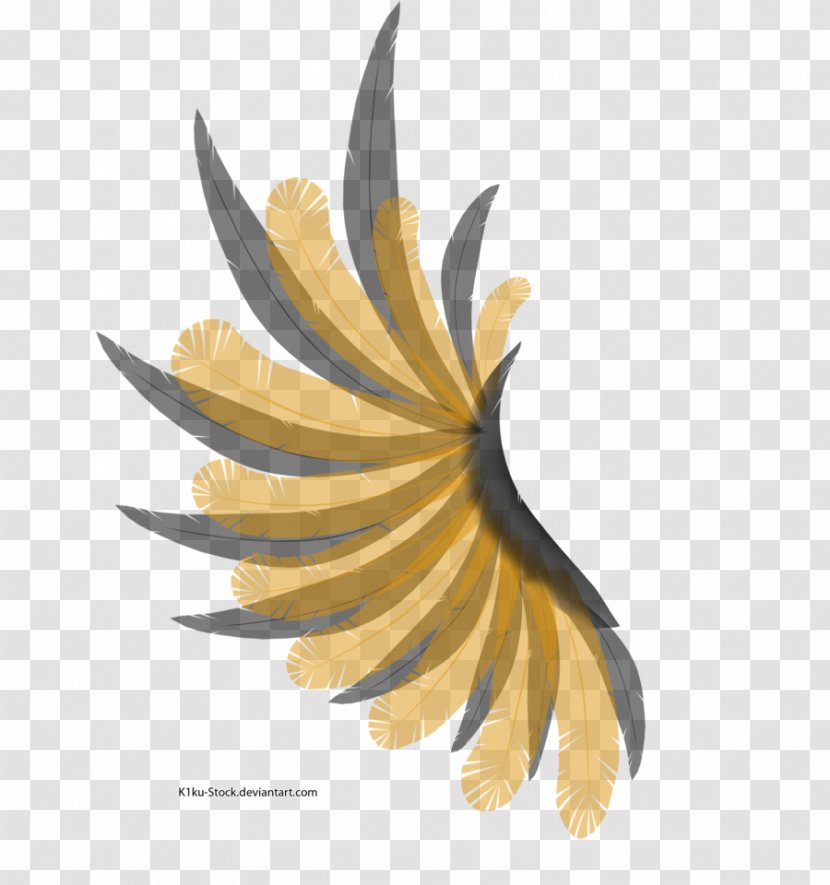 Flowering Plant - Wing - Black Transparent PNG