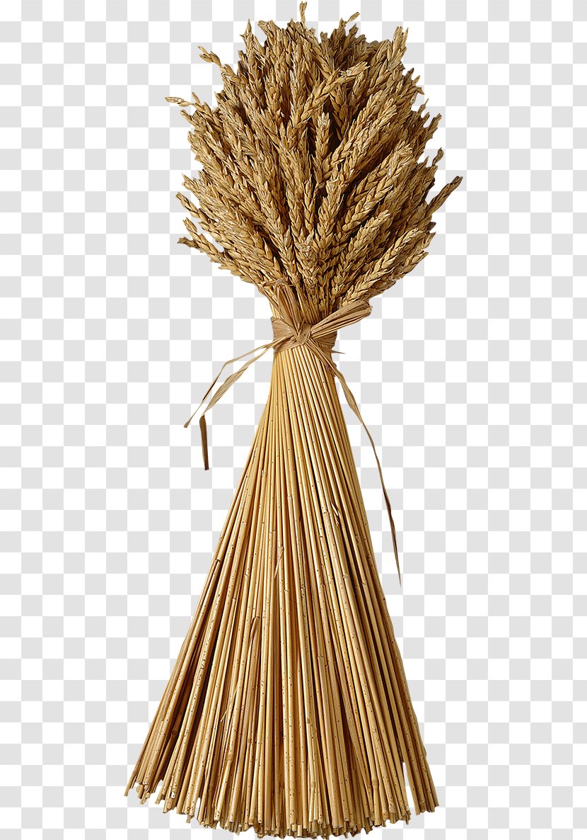 Wheat Download Clip Art - Straw Transparent PNG