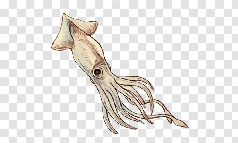 Squid Octopus Cuttlefish Marine Invertebrates Tail - Seafood Transparent PNG