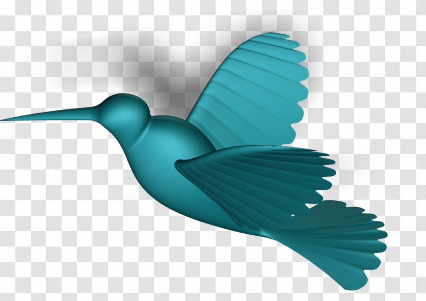Bird Turquoise Teal Beak Feather - Pollinator - Hummingbird Transparent PNG