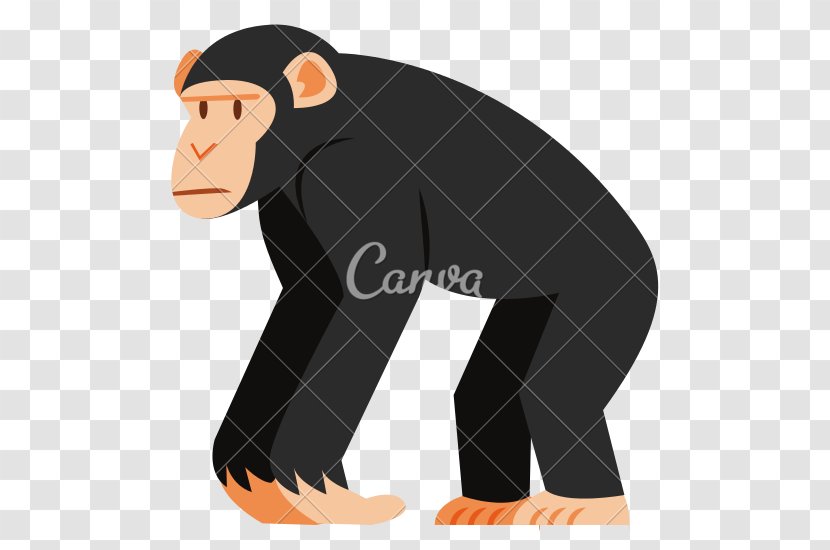 Chimpanzee Ape Cartoon Monkey - Simian Transparent PNG