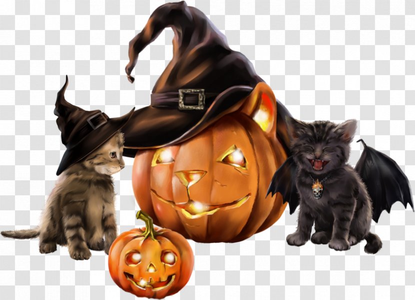 Black Cat Kitten Halloween Witch - Whiskers Transparent PNG