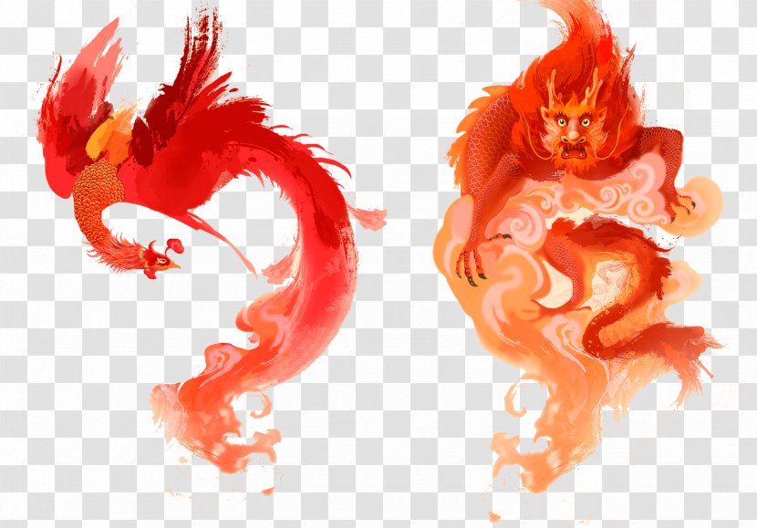 China Chinese New Year Dragon Illustration - Phoenix Transparent PNG
