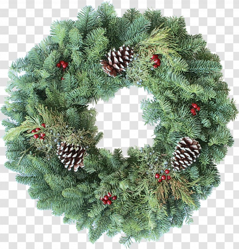 Christmas Decoration - Shortleaf Black Spruce - Conifer Plant Transparent PNG