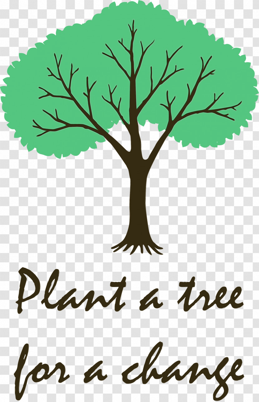 Leaf Plant Stem Tree Green Meter Transparent PNG