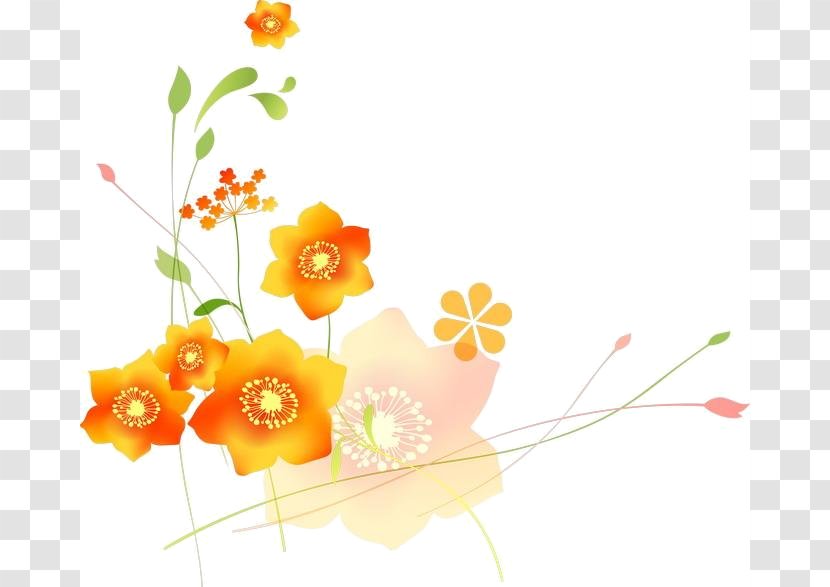 Floral Card - Petal - Picture Frames Transparent PNG