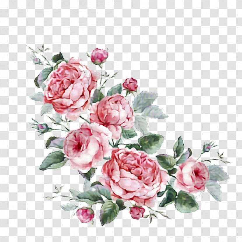 Floral Design Flower Stock Photography Royalty-free Illustration - Cut Flowers Transparent PNG