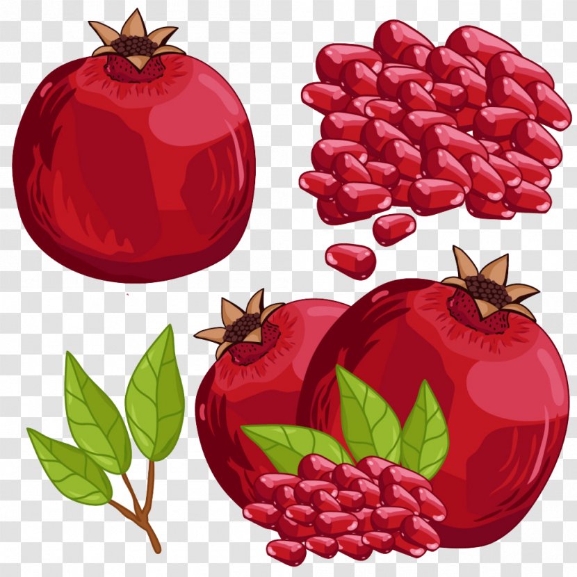 Pomegranate Juice Fruit Illustration - Christmas Ornament - Hand-painted Transparent PNG