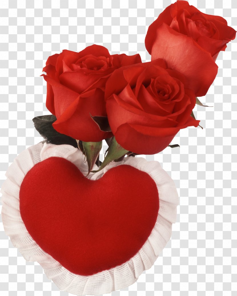 Free Love Cousin Heart - Flower - Red Roses Transparent PNG