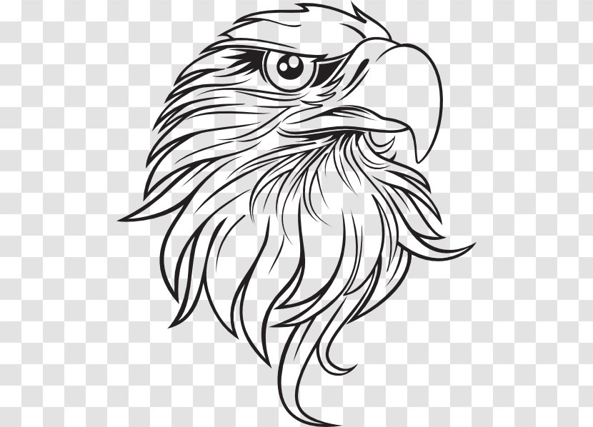 Bald Eagle Drawing Clip Art - Fictional Character - Outline Cliparts Transparent PNG