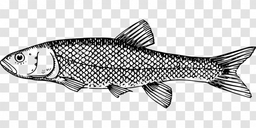 Milkfish Fish Scale Clip Art - Fin Transparent PNG