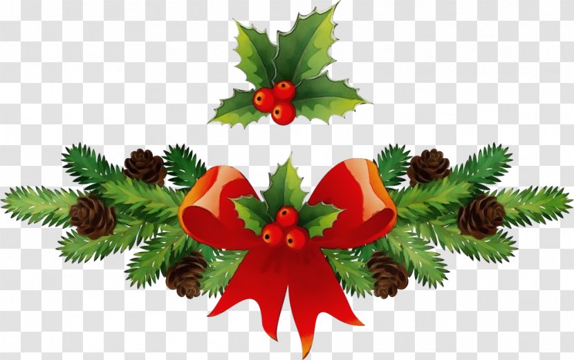 Christmas Decoration - Garnish - Eve Pine Transparent PNG
