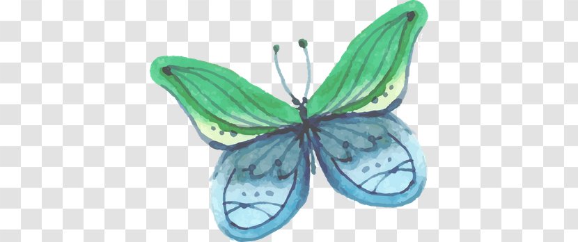 Watercolor Painting Clip Art - Coreldraw - Butterfly Transparent PNG