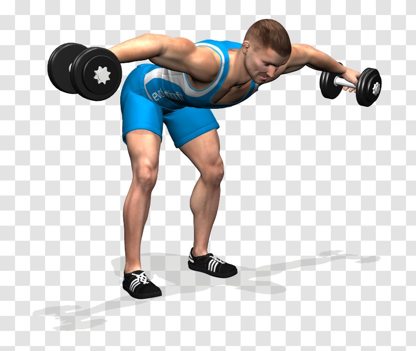 Weight Training Alzata Laterale Shoulder Rear Delt Raise Deltoid Muscle - Flower - Barbell Transparent PNG