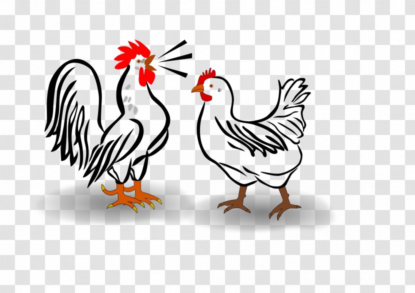 Chicken Rooster Clip Art - Fowl Transparent PNG
