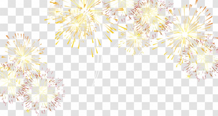 White Pattern - Text - Creative Fireworks Bloom Transparent PNG