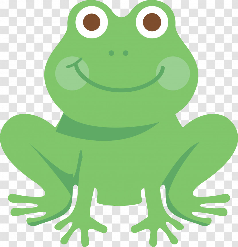 True Frog Toad Frogs Cartoon Tree Frog Transparent PNG