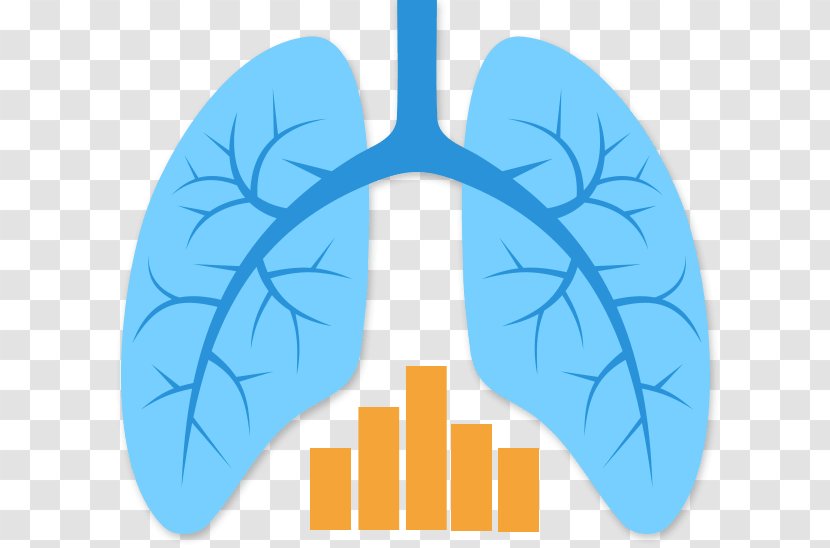 Lung Transplantation Mesothelioma - Silhouette - Lungs Transparent PNG