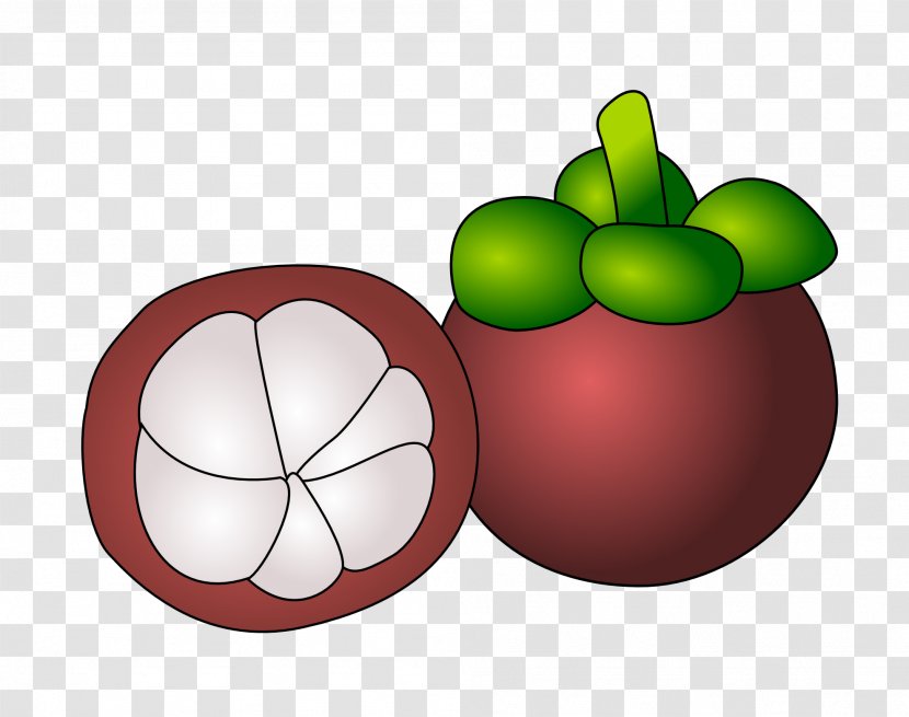 Purple Mangosteen Clip Art - Fruit - Vector Transparent PNG