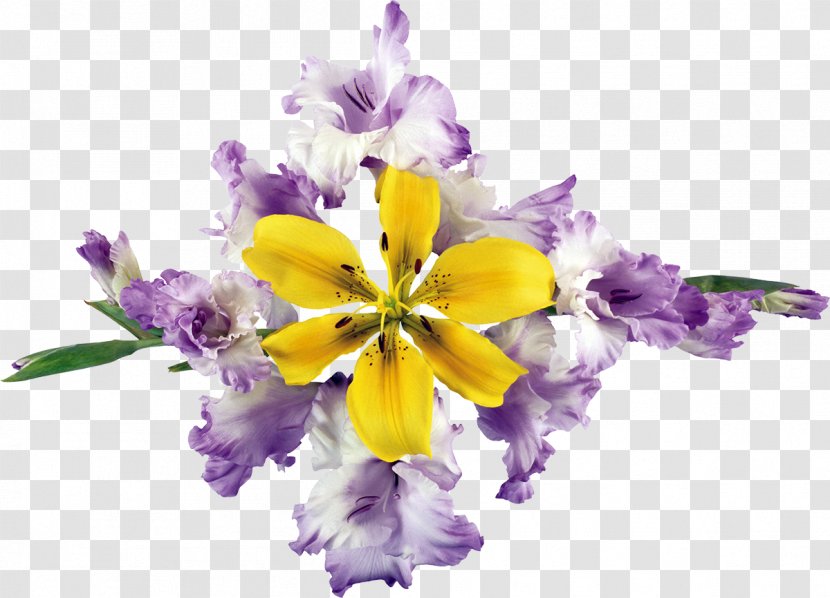 Floral Design Cut Flowers Lilium - Flowering Plant - Flower Transparent PNG