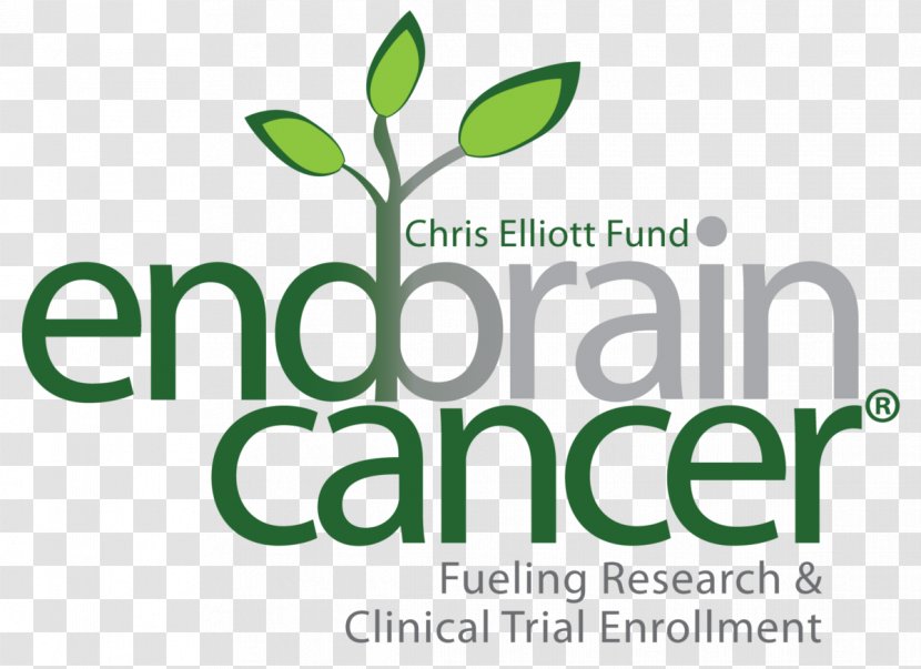 End Brain Cancer Initative (Chris Elliott Fund) Tumor Survivor Lung - Research - Of All Hope Transparent PNG