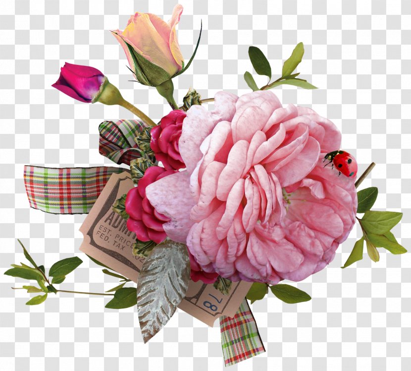 Garden Roses Flower Wednesday - Pink Transparent PNG