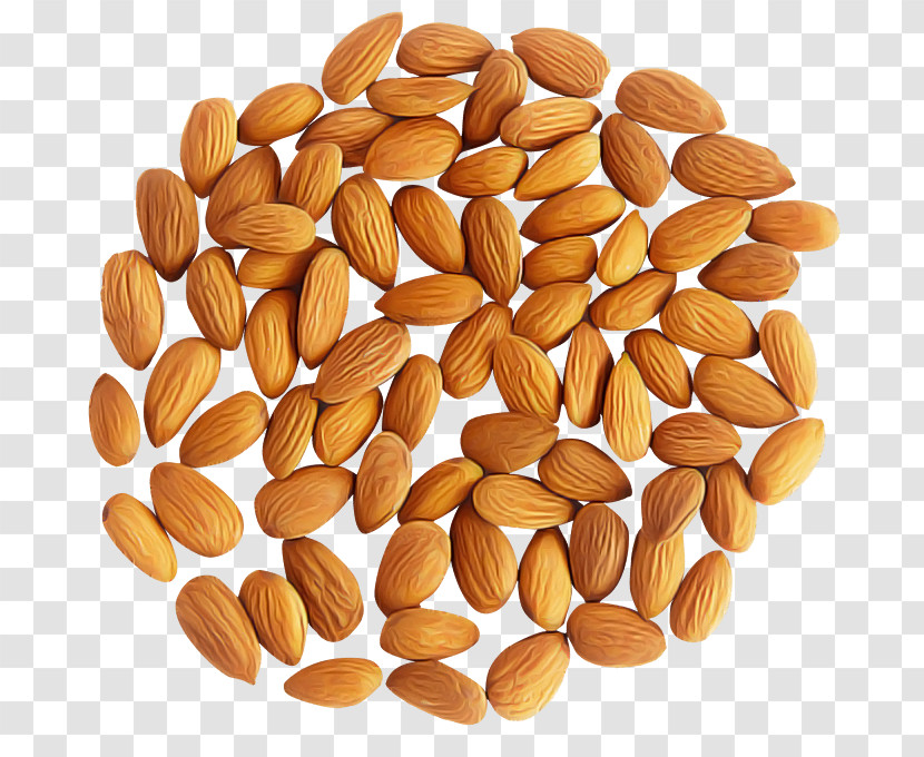 Almond Food Plant Nuts & Seeds Superfood Transparent PNG