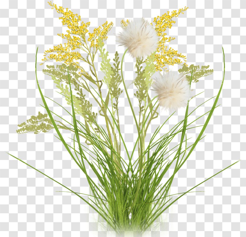 Flowers Background - Floral Design - Perennial Plant Aquarium Decor Transparent PNG