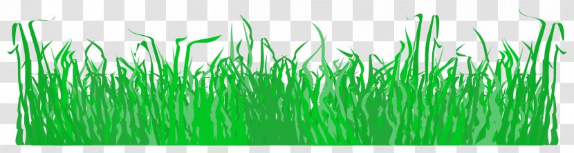 Lawn Clip Art - Sweet Grass Transparent PNG